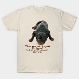 Rottweiler the boss dog T-Shirt